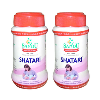 Sandu Shatari 200gm Chocolate Pack of 2