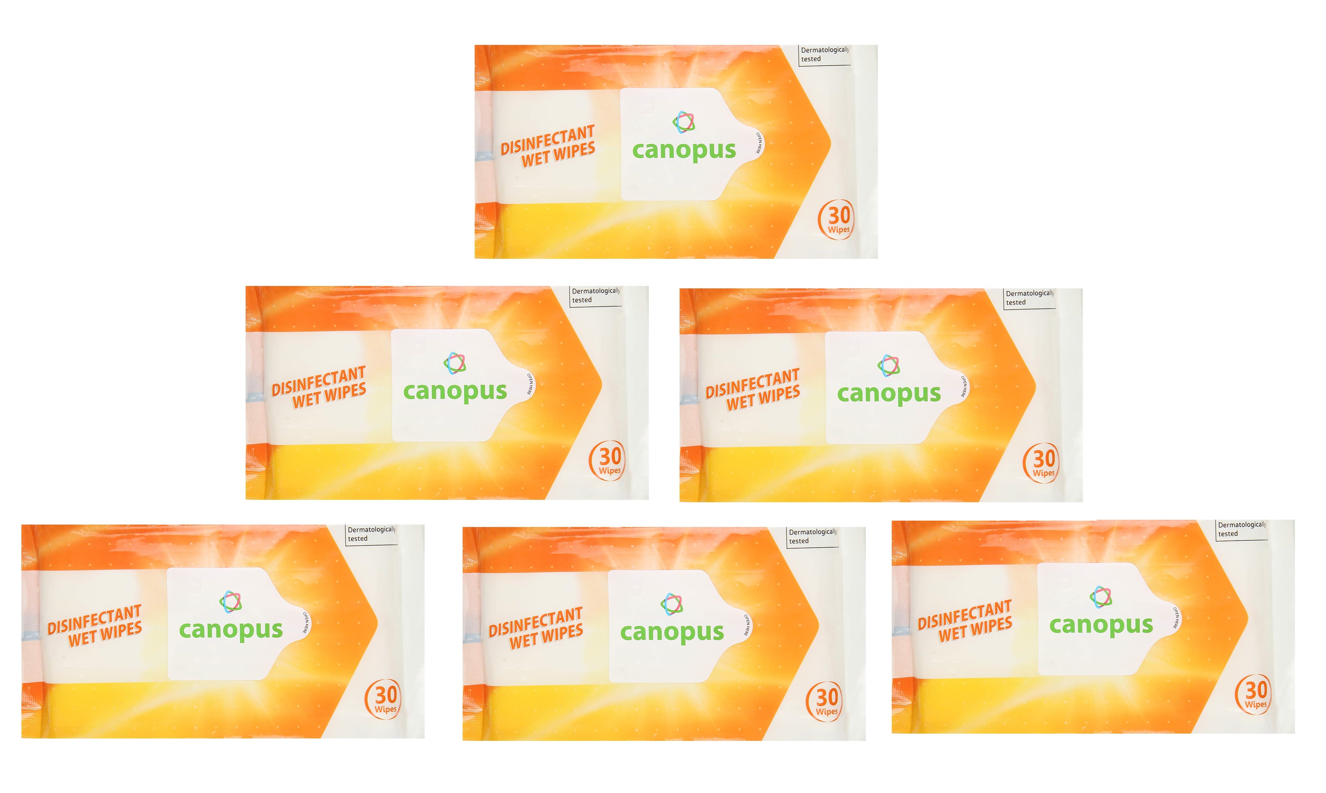 Canopus Disinfectant Wet Wipes pack of 6