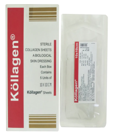Kollagen Sheet 10 x 10